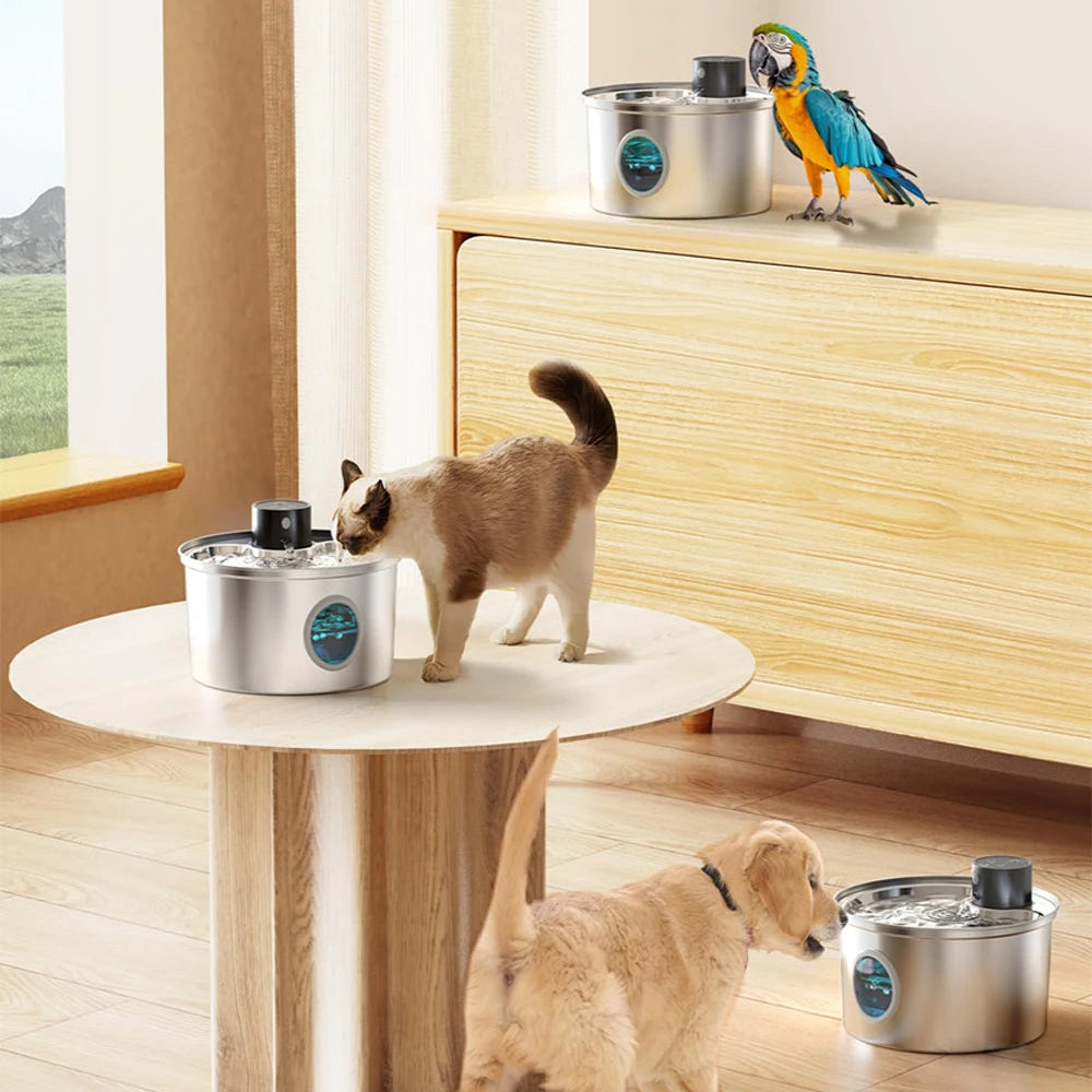 Flow Bowl Bebedero Automático Inoxidable