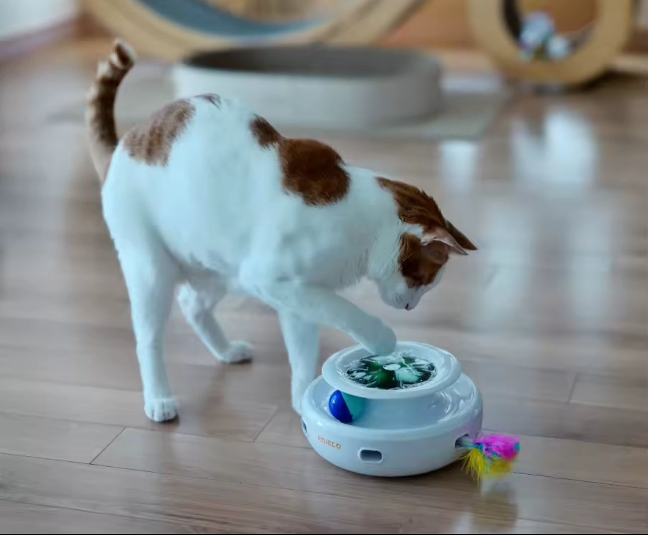 Minimalista y moderno