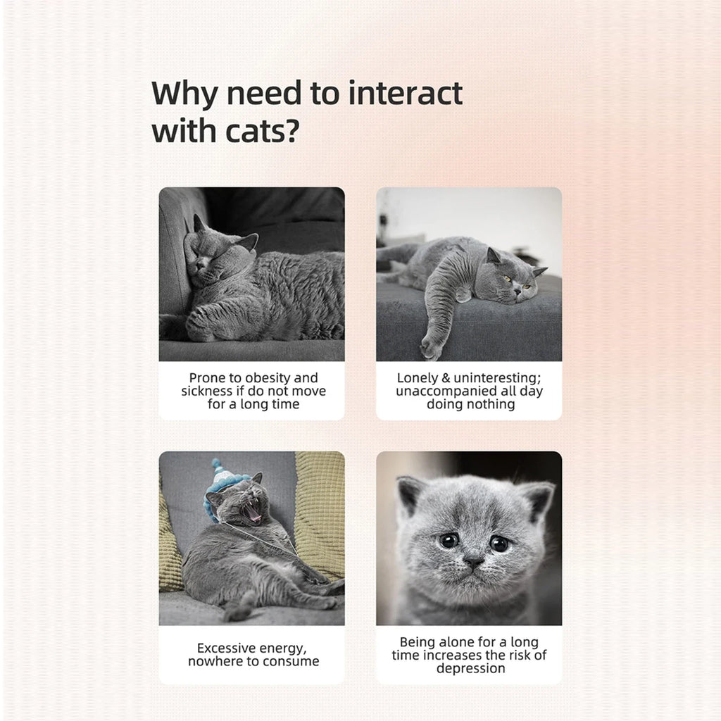 Laser Play Juguete para Gatos con Movimiento Inteligente