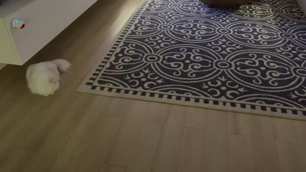 Laser Play Juguete para Gatos con Movimiento Inteligente