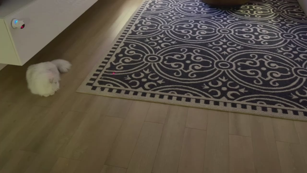 Laser Play Juguete para Gatos con Movimiento Inteligente