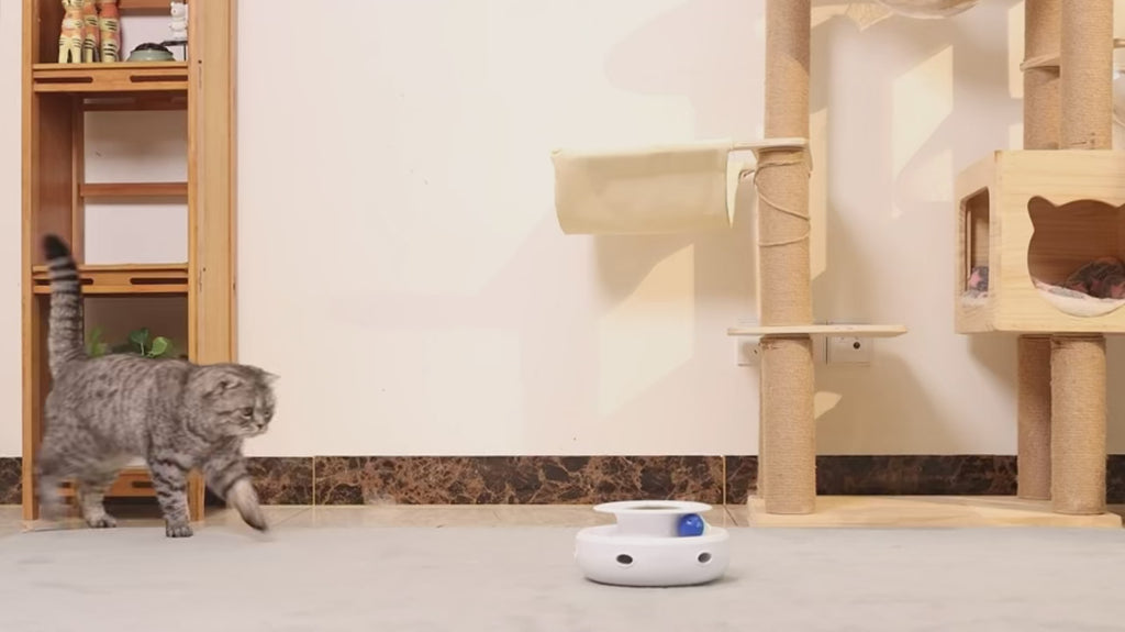 Fun Spin Juguete Interactivo Automático con Pluma para Gatos