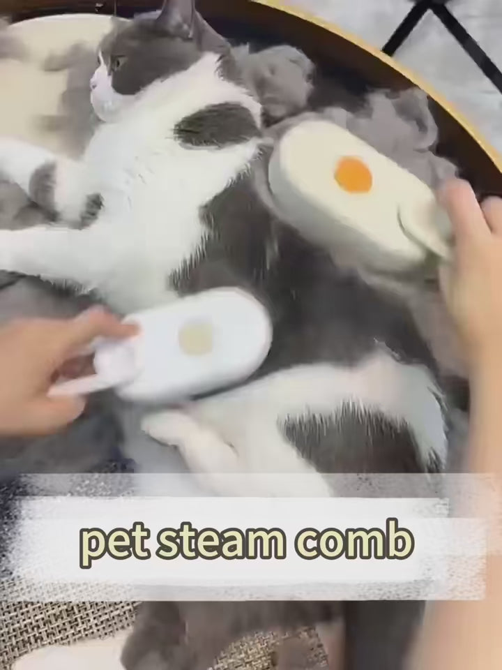 Brush GO Cepillo de limpieza y masaje eléctrico para mascotas